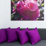 Apartament La